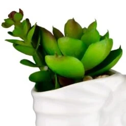 B&M Scandi Shore Small Shell Succulent 16 B&M Scandi Shore Small Shell Succulent -Home Furnishing Specialty Store 380110 small shell succulent 2