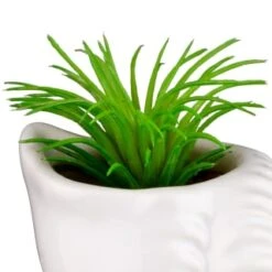 B&M Scandi Shore Small Shell Succulent 18 B&M Scandi Shore Small Shell Succulent -Home Furnishing Specialty Store 380110 small shell succulent 5