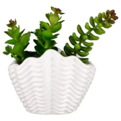 B&M Scandi Shore Small Shell Succulent 13 B&M Scandi Shore Small Shell Succulent -Home Furnishing Specialty Store 380110 small shell succulent 7