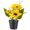B&M Sunflower Plant Pot 2 B&M Sunflower Plant Pot -Home Furnishing Specialty Store 392959 sunflower